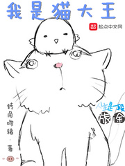 小猫咪小说我是猫大王