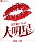 大明小说我的前女友是大明星