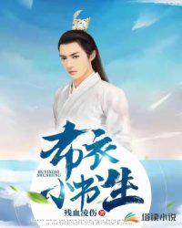 山崖小说布衣小书生