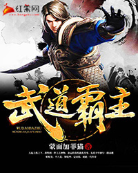 都市小说小说武道天帝