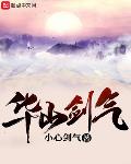 华山剑气