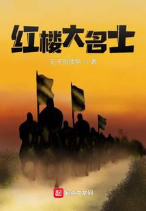 红楼大名士重生