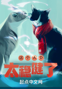 游戏小说这个AD太稳健了